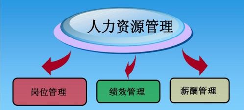 企業如何選擇薪酬績效管理咨詢公司及其服務收費模式