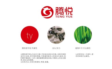 深耕農業沃土，擘畫品牌新篇——專業農業品牌戰略咨詢與企業形象策劃解析